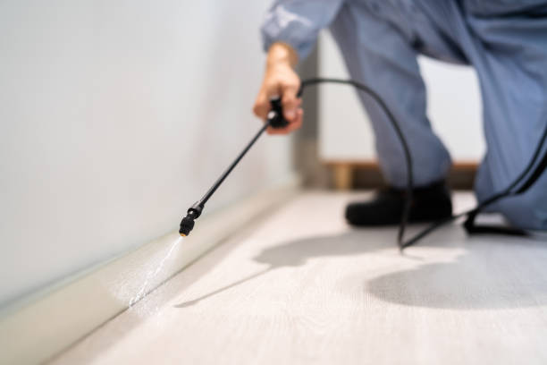 Licensed Pest Control service in Bryan County County, GA - Nex Pest Control