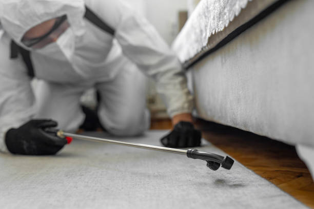 Professional Pest Control technician working in Bryan County County, GA